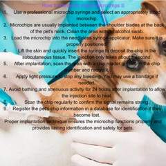 ISO Compliant 1.25*7mm Microchip Implant Kit with RFID Glass Injector x100
