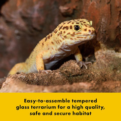 Quickbuild Reptile 10 Gallon Glass Terrarium Habitat with Bedding Tray for Gecko