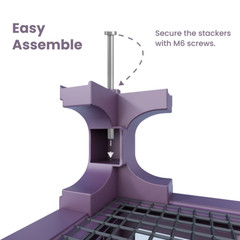 Phailozoo 3″ Stacker (set of 4) Purple