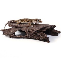 Tfwadmx Leopard Gecko Hide, 10″ Reptile Hideout, Resin Simulated Hollow Log f…