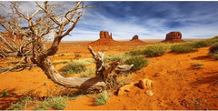 36X18 Inches Reptile Habitat Background Orange Desert Terrarium Background Durab