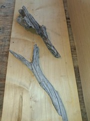 Natural Driftwood Dcor Or Terrarium Set Of 2 Pieces