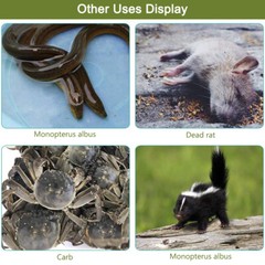 47″52″Extra Heavy Duty Reptile Snake Tongs Grabber Rattle Snake Catcher Wide Jaw