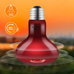 2 Pack 100W Reptile Heat Bulbs – UVA Basking + Infrared Night Lamps E26