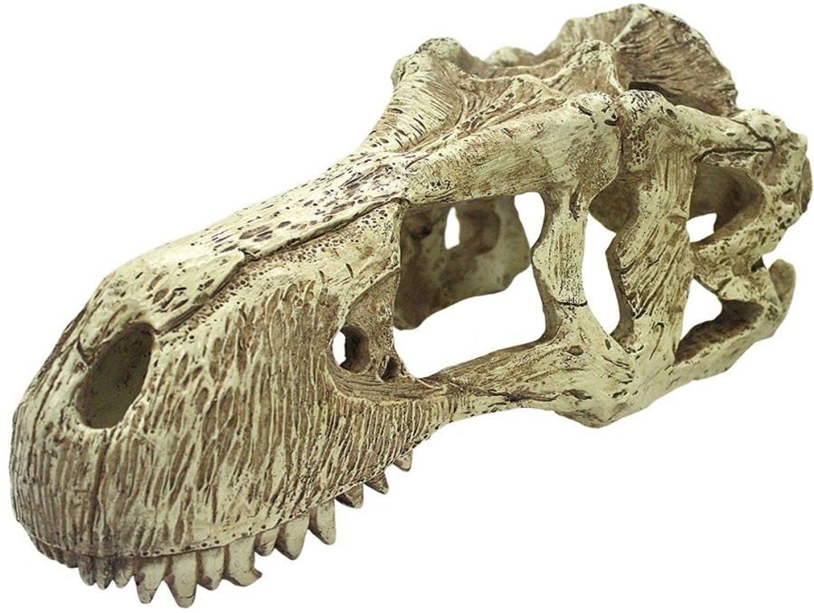 Reptile, Komodo T-Rex Skull Terrarium Decoration (X-Large – 1 count)