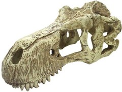 Reptile, Komodo T-Rex Skull Terrarium Decoration (X-Large – 1 count)