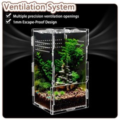 8x4x4 Inch Vertical Acrylic Jumping Spider Tarantula Enclosure Terrarium