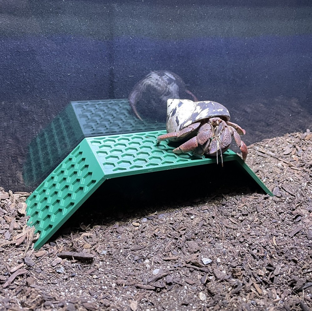 Hermit Crab Climbing Stand Tank Ornament Hide Cave Toys Accessories Supplies