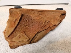 Pet-TekkMagNaturals Rock Ledge Realistic Artificial Stone Mojave Reptile Habitat