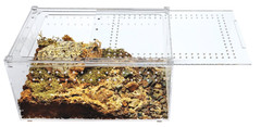 Acrylic Enclosure Terrarium Large 12”(L) x 8”(W) x 6”(H) Reptile, Snake, Spider