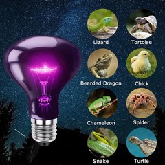 100W Reptile Night Light Bulb – UVA Heat Lamp with Moonlight Simulation