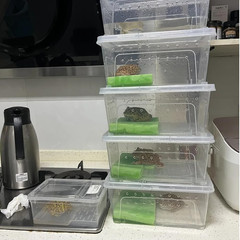 10 Pcs Reptile Feeding Boxs, Plastic Spider Terrariums Breeding Box Feeder