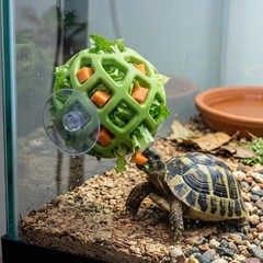 Turtle Feeding with Suction Cup, Silicone Foraging , Interactive Turtle Tank …