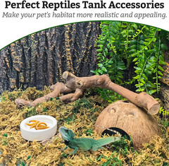 Snake Climbing Branch, 2Pcs Reptile Wood Natural Cork Log Tank Accessories Tree