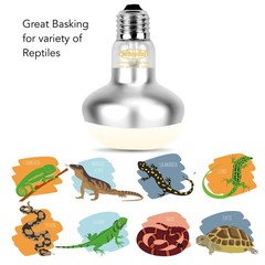 Reptile Heat Lamp, 2-Pack 100W Intense Spot, Bearded Dragon & Lizard Basking …