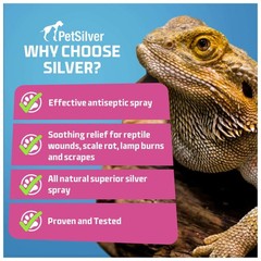 Reptile Wound Spray with Chelated Silver – Reptile Wound Care for Snakes, Liz…