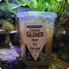 Fruit Fly Cultures 3 Pack – Flightless – Wingless – Turkish Gliders Frog Food