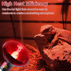 Reptile Heat Lamp Bulbs,Infrared 100W Reptiles & Amphibians Basking Spot Lamp Bu