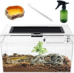 Mini Reptile Terrarium Set 12 Inch Low Enclosure with Full View Glass for