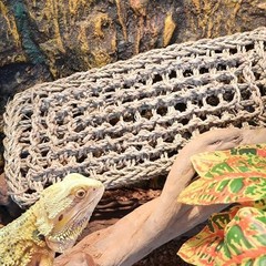 Reptile Hammock for Bearded Dragons & Lizards – Tank Accessories & Habitat Décor