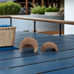 4Pcs Coconut Shell Reptile Caves Durable Hideouts for Geckos Hermit Crab Tanks