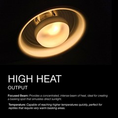 Reptile Heat Lamp, 2-Pack 100W Intense Spot, Bearded Dragon & Lizard Basking …