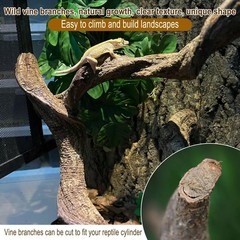 Reptile Decor 3PCS Natural Forest Branch Terrarium Habitat Decoration Lizard …
