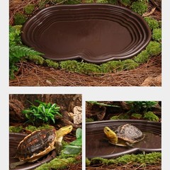 Extra Large Reptile Bathing Pool Reptile Feeding Dish Water Bowl with Ramp Aq…