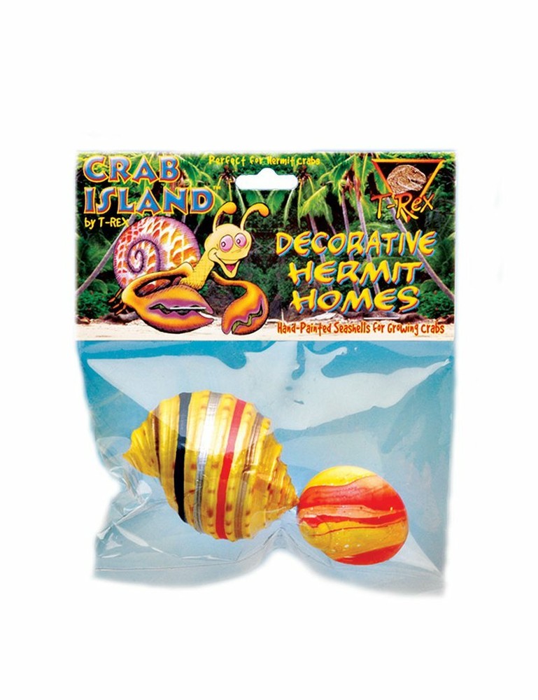 T-Rex Hermit Crab Decorative Home Medium Shell – 2 Pack