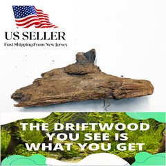 NATURAL MANGROVE DRIFTWOOD #110a WYSIWYG – AQUASCAPING, SUPER PRICE!! DECORATION