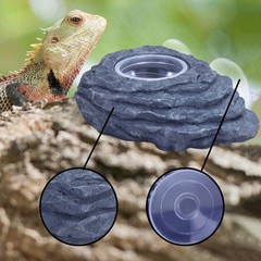 Crested Gecko Feeder Ledge Single Bowl Reptile Food Dish with 3PCS Reptile Fe…