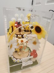 Clear Acrylic Jumping Spider Enclosure Terrarium Vent Holes Latch Door Bee Decor
