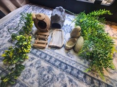 Reptile Supplies