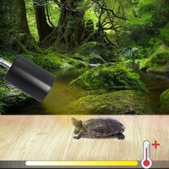 8pcs UVA+UVB 75W Reptile Heat Basking Light Bulb Lamp For Tortoise Lizard Turtle