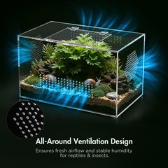 Acrylic Tarantula Enclosure, Jumping Spider Medium (12″×7″×7″), Horizontal