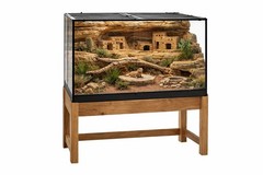 CUSTOM BIOACTIVE LEOPARD GECKO ENCLOSURE