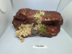 Magnetic Rock Ledges For Terrariums And Cages (Limited Edition) Medium LAVA