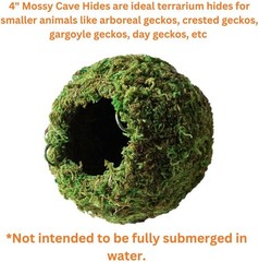 Galápagos 05346 Mossy Cave Hide 4″ Green