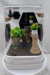 Jumping Spider Coffin Habitat Decor and Supplies