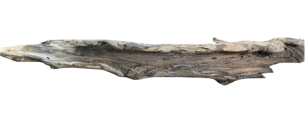 All natural Large Driftwood Log, 23” x 4 “ for Aquarium or Birdcage