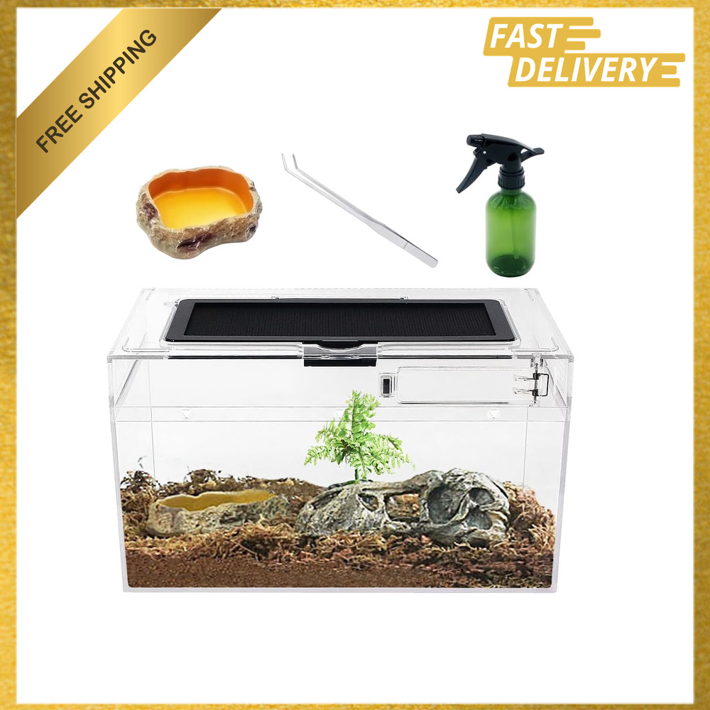 Mini Reptile Terrarium Set 12 Inch Low Enclosure with Full View Glass for