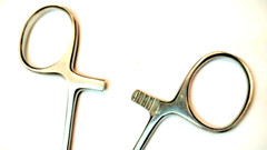 8″ Stainless Steel Hemostat Straight Forceps for Feeding Lizards and Snakes