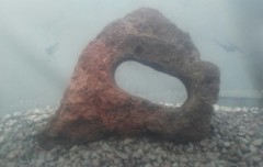 FISH TANK AQUARIUM STONE LAVA ROCK LIZARD REPTILE CLIMB HIDE HARDSCAPE AQUASCAPE