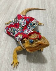 Bearded dragon Dress and flower crown, Red Sugar Skull
