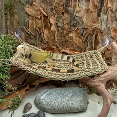 Bearded Dragon Hammock – Lounger for Lizards, Geckos, Snakes & Iguanas