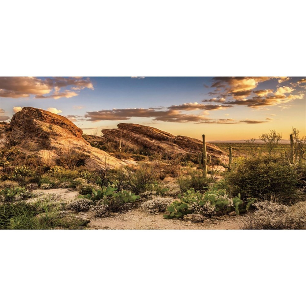 Awert Reptile Habitat Background Blue Sky Oasis Cactus Sun And Desert