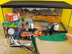 COMPLETE REPTILE TERRARIUM WITH SUPPLIES