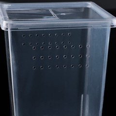 4 PCS Insect Spider Terrariums Breeding Box Hatching Container Arboreal