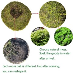 Hamiledyi Reptile Moss Cave Style3