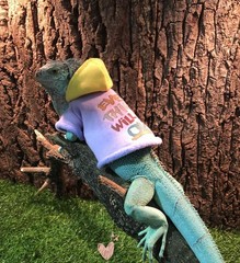 Lizard Clothes Bearded Dragon Hoodie Cotton Reptile Apparel Skin Protection